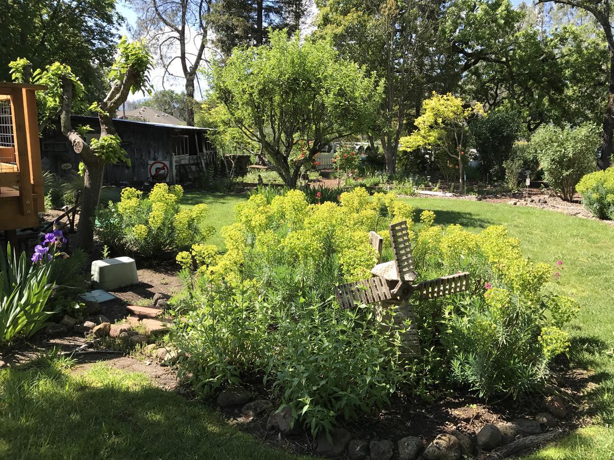 كاليستوغا، نابا، كاليفورنيا Trailside Inn Bed And Breakfast المظهر الخارجي الصورة