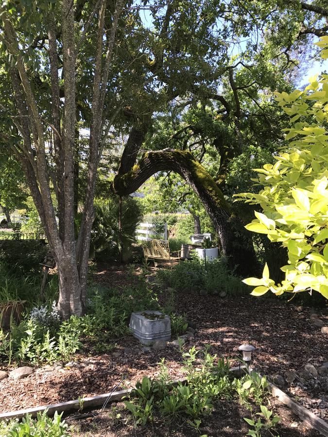 كاليستوغا، نابا، كاليفورنيا Trailside Inn Bed And Breakfast المظهر الخارجي الصورة
